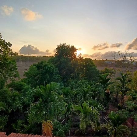 Kamanabillu Homestay, For Jog Falls Travellers Siddapur Esterno foto