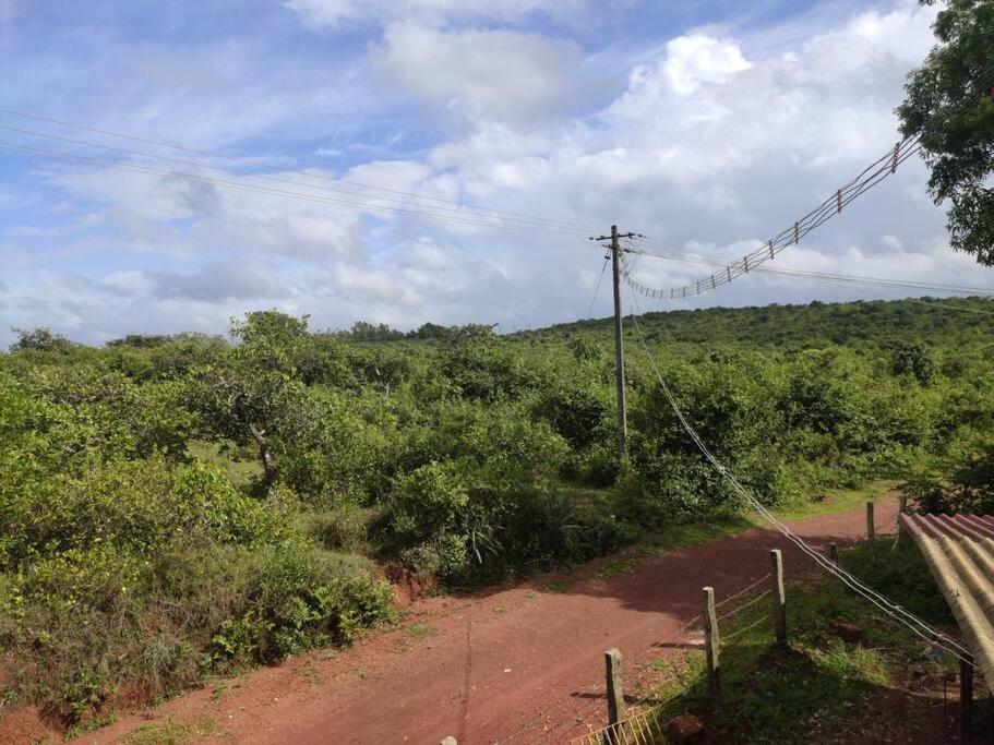 Kamanabillu Homestay, For Jog Falls Travellers Siddapur Esterno foto