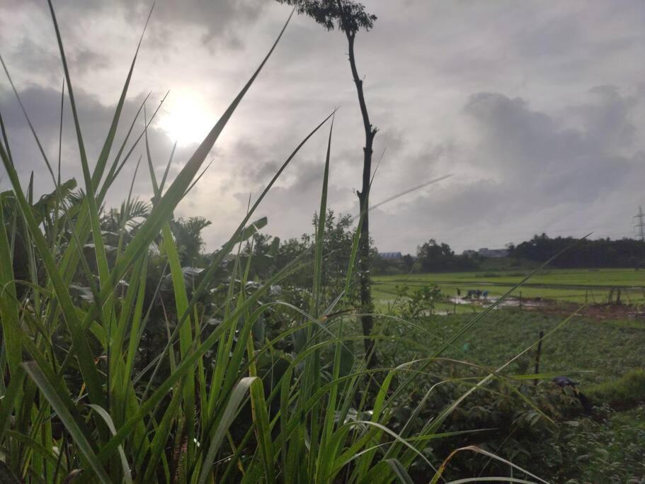 Kamanabillu Homestay, For Jog Falls Travellers Siddapur Esterno foto